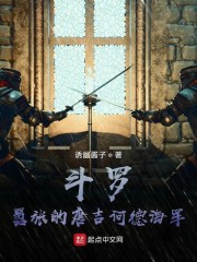 斗罗：嚣张的唐吉诃德海贼章节列表