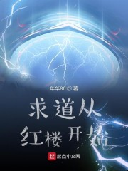 求道从红楼开始章节列表