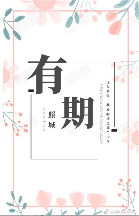 有期章节列表