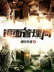 镜面管理局(横扫天涯)新章节列表