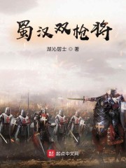 蜀汉双枪将章节列表