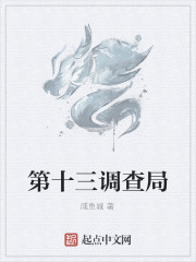 第十三调查局章节列表