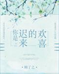 你是迟来的欢喜章节列表