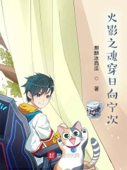 火影之魂穿日向宁次章节列表