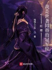 红楼：我是世袭罔替的冠军侯章节列表