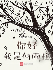 你好我是何雨柱章节列表