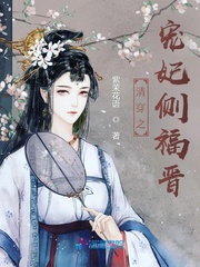 清穿之宠妃侧福晋章节列表