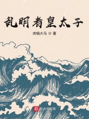 乱明者皇太子章节列表