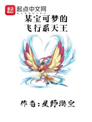 某宝可梦的飞行系天王章节列表