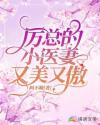 厉总的小医妻又美又傲章节列表