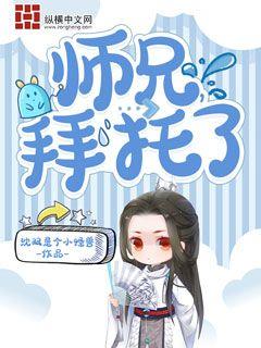 师兄，拜托了章节列表