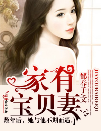 家有宝贝妻章节列表