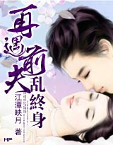 再遇前夫，乱终身章节列表
