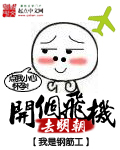 开个飞机去明朝章节列表