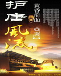 护唐风流章节列表