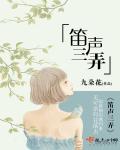 笛声三弄章节列表