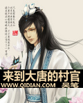 来到大唐的村官章节列表