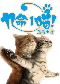 九命一喵章节列表