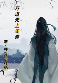 万道无上天帝章节列表