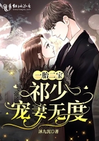 一胎二宝：祁少宠妻无度章节列表