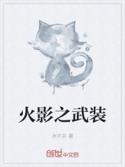 火影之武装章节列表