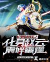 轮回游戏之化身赵云震碎雷霆章节列表