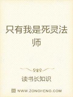 只有我是死灵法师章节列表