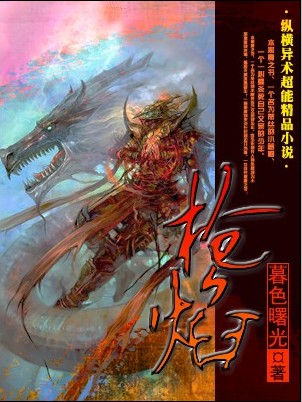 枪焰章节列表