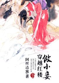 穿越红楼做小妾章节列表