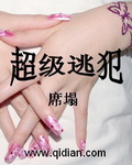 超级逃犯章节列表