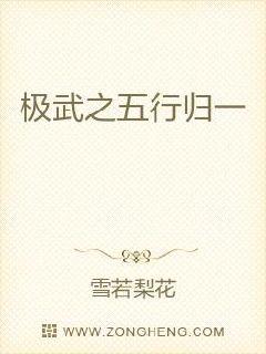 极武之五行归一章节列表