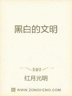 黑白的文明章节列表