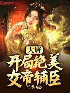 大唐开局绝美女帝辅臣章节列表