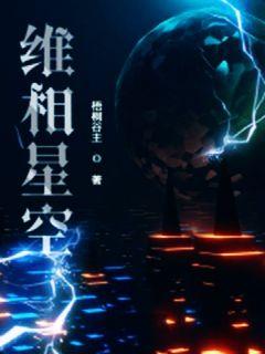 维相星空章节列表