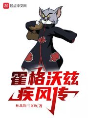 霍格沃茨疾风传章节列表