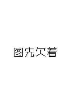 妙法之巅章节列表