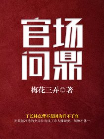 官场问鼎章节列表