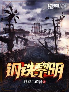 钢铁黎明章节列表