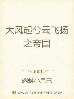 大风起兮云飞扬之帝国章节列表