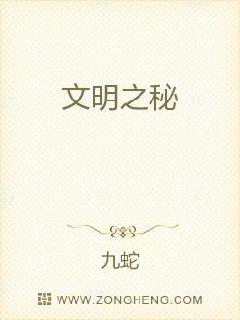 文明之秘章节列表