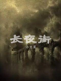 长夜街章节列表