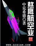 熬鹰航空业章节列表