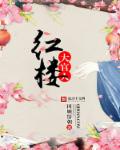 红楼大官人章节列表